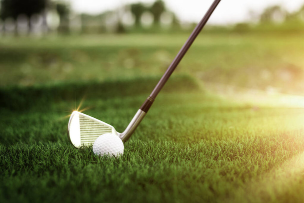 Golfpallo lähikuva tee ruoho hämärtynyt kaunis maisema golf tausta. Käsitteen kansainvälinen urheilu, joka on riippuvainen tarkkuustaidoista terveyden rentoutumiseen. - Valokuva, kuva