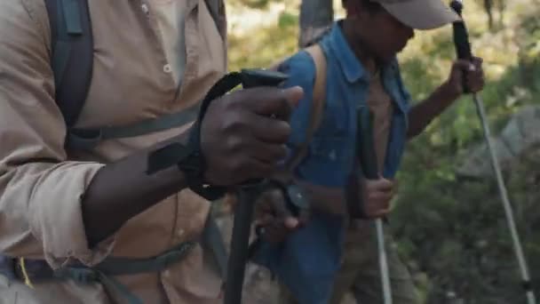 Selektivní zaměření záběr Afroameričan senior muž a jeho vnuk nosí batohy turistika v horském lese - Záběry, video