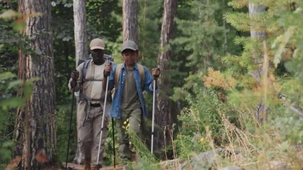 Modern afro-amerikai idős férfi és gyerek együtt töltik a hétvégét túrázás a hegyekben - Felvétel, videó