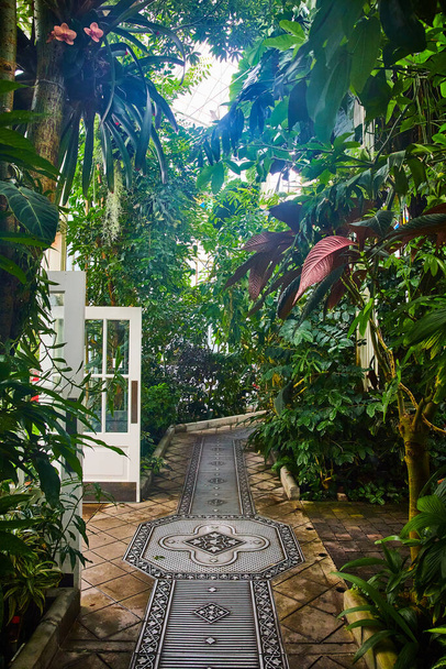 Afbeelding van baksteen en metalen pad door de jungle van planten in serre met witte deur - Foto, afbeelding