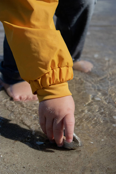 Lähellä käsi poika rannalla poimien meri kuori, yllään keltainen takki - Valokuva, kuva