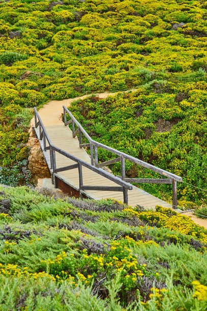 Obrázek scénické naučné stezky šťavnatých květin a květin vedoucí k mostu s nečistou stezkou vedoucí do kopce - Fotografie, Obrázek