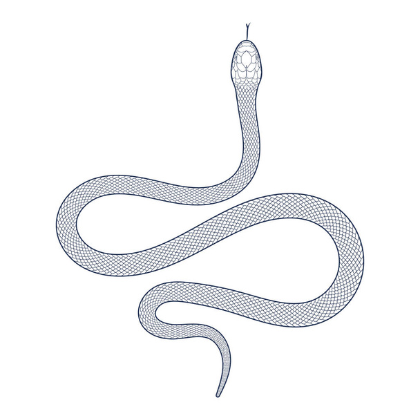 Урожай ретро ізольовані чорний змій силует ілюстрація вектор татуювання дизайн - Вектор, зображення