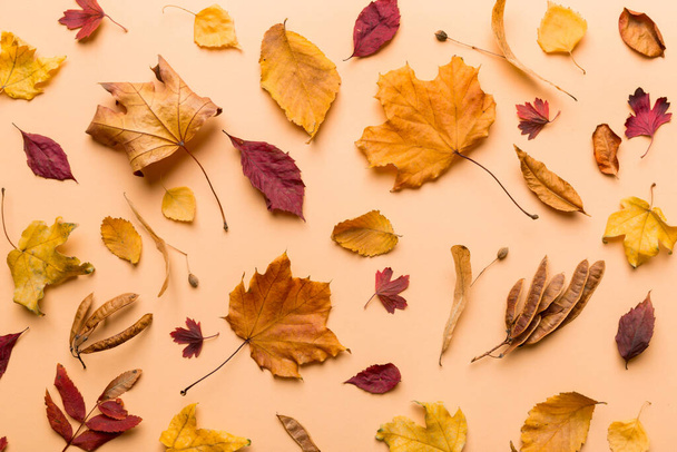 Composition d'automne. Motif fait de feuilles séchées et d'autres accessoires de conception sur la table. Couché plat, vue du dessus. - Photo, image
