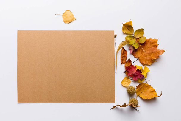 Осенняя композиция с пустыми и сушеными листьями на столе. Плоская кладка, вид сверху, копировальное пространство. - Фото, изображение