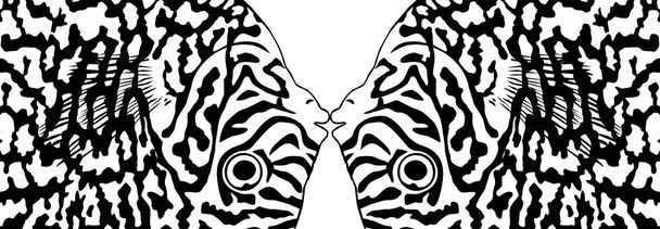 Patrón de motivos artísticos Inspirado en Symphysodon o Discus Fish Skin, para decoración, adornado, fondo, sitio web, papel pintado, moda, interior, cubierta, impresión animal o elemento de diseño gráfico - Vector, Imagen