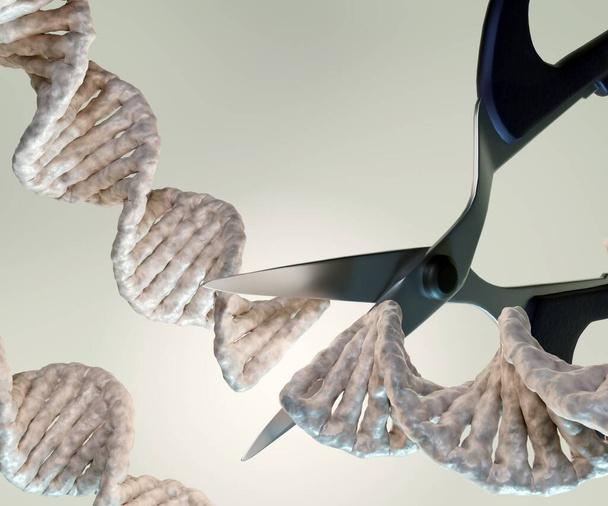 CRISPR je technologie, kterou lze použít k editaci genů. DNA řetězec s nůžkami. řezání šroubovice 3D vykreslování - Fotografie, Obrázek