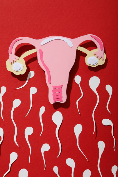Έννοια της γονιμοποίησης, περίοδος της ωορρηξίας, ωάριο. - Φωτογραφία, εικόνα