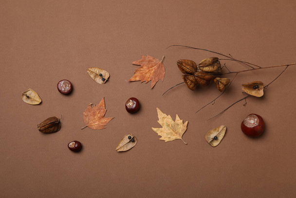 Свежие фрукты каштана с сухими листьями на коричневом фоне - Фото, изображение