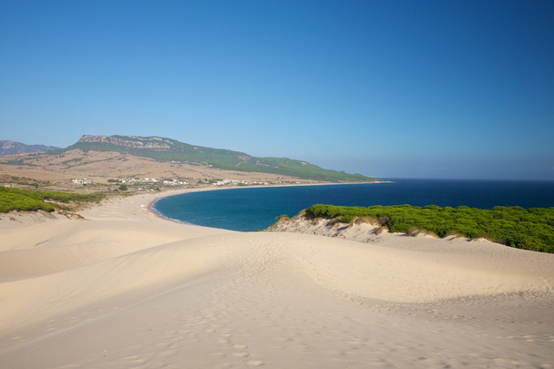 Sand dunes over Bolonia beach - Foto, afbeelding