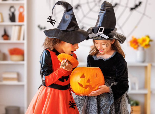 Two cute kids girls in Halloween witch costumes look into pumpkin jack-o-lantern with surprise at home - Valokuva, kuva