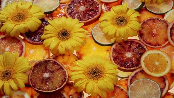 Fruit pattern of orange slices and blossom with leaves on green background. Top view. Flat lay. - Footage, Video