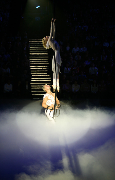 Air acrobats - Photo, Image