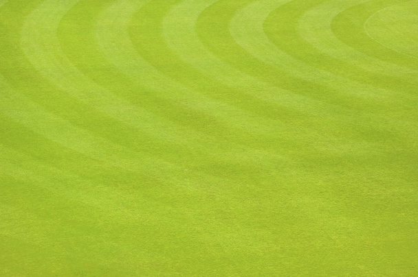 Футбол трави
 - Фото, зображення
