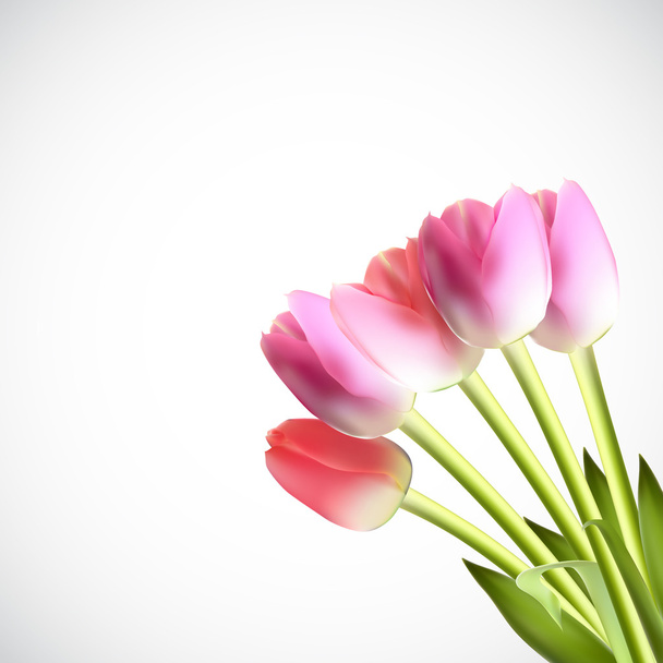 schöne rosa realistische Tulpenvektorillustration - Vektor, Bild
