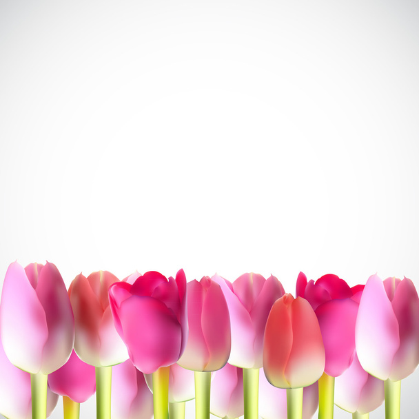 Belle illustration vectorielle tulipe réaliste rose
 - Vecteur, image