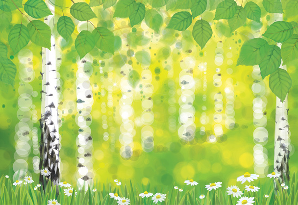 Весенний березовый лес
 - Вектор,изображение