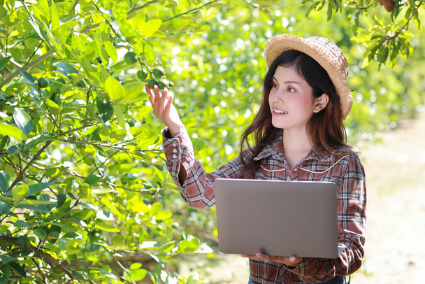Aasian agronomi tai nainen viljelijä lukee raportin ja tarkastaa viljely viljelykasvien tiedot tietokoneelta tuottavuuden lisäämiseksi maatalouden alalla, moderni älykäs maatalous teknologian käsite - Valokuva, kuva