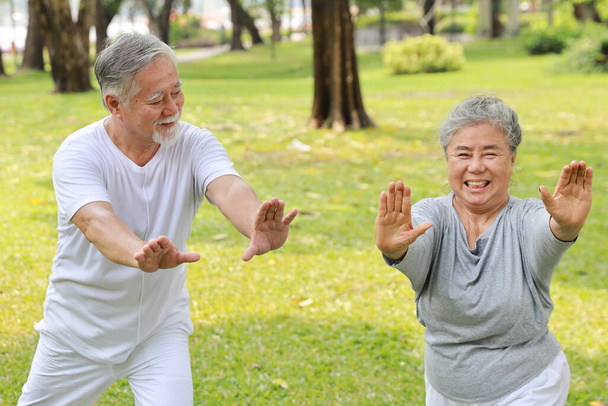 Asyalı yaşlı çift yoga egzersizi, tai chi dönüşümü, esneme ve meditasyon ve emeklilikten sonra parkta dinlenme egzersizleri yapıyor. Mutlu yaşlılar açık hava yaşam tarzı konsepti - Fotoğraf, Görsel