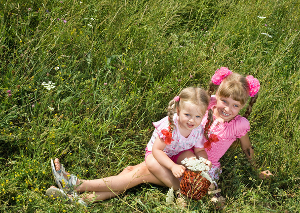 Meninas na grama verde ao ar livre
. - Foto, Imagem
