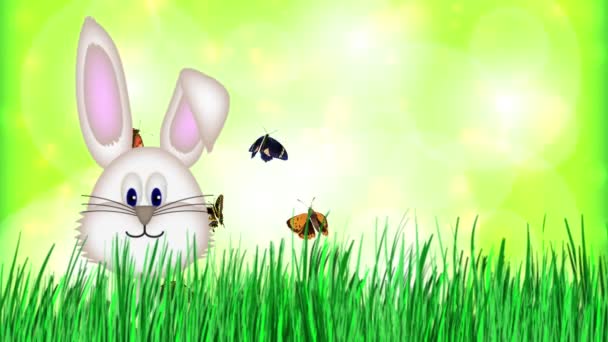 Veselé Velikonoce - Velikonoční zajíček Video animace - Záběry, video