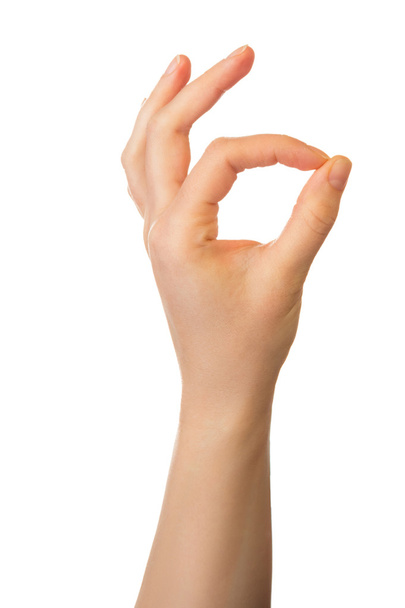 Hand in ok sign isolated - Photo, Image