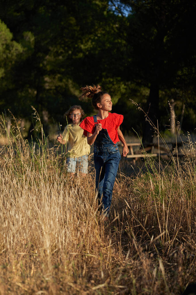 Щаслива дівчинка і хлопчик у повсякденному одязі, що ходить на трав'янистому полі в сільській місцевості під час вихідних - Фото, зображення