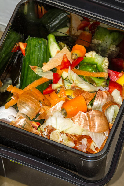 Выброшенная пища в мусорном ведре, готовая к компостированию, включая остатки огурца, кожуры моркови и верхушки, луковые шкуры, перец, салат и помидоры - Фото, изображение