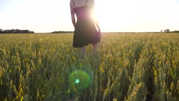 Jonge vrouwelijke hipster in jurk lopend door groen gerstveld bij zonsondergang. Zorgeloos punk meisje met tattoos tussen de tarwewewewewevelden en genietend van de vrijheid. Prachtig landschap op de achtergrond. - Video