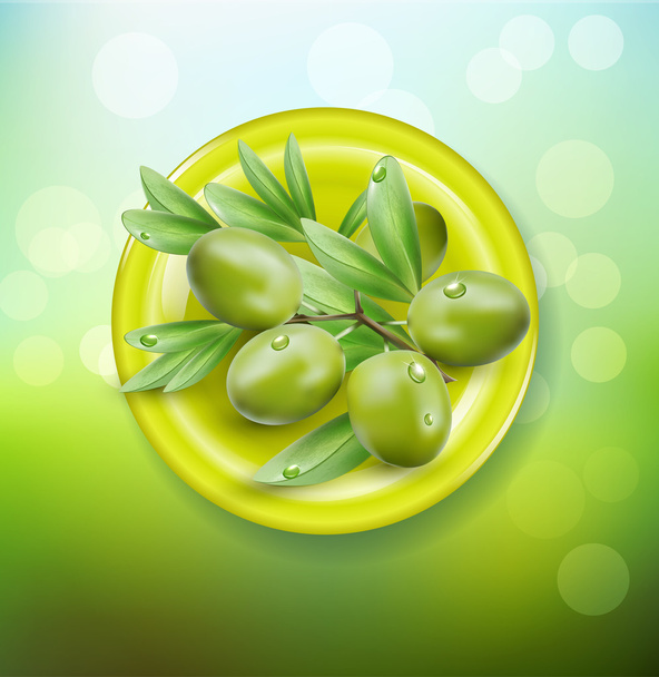 Green olives on  plate - ベクター画像