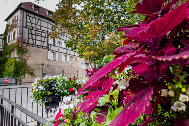 Incroyablement belle ville de Colmar en France, Alsace. Belles rues et maisons - Photo, image