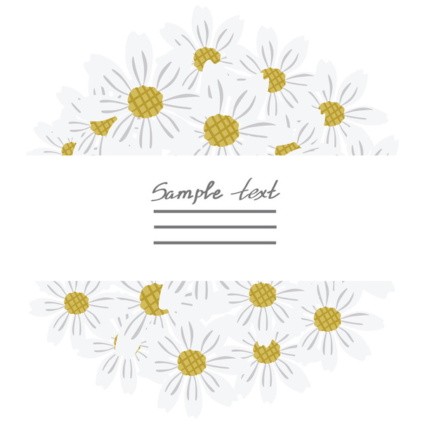 Vector picture with flowers of chamomile - Vector, imagen