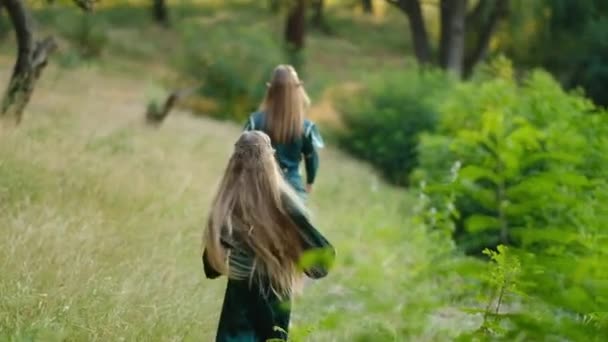 Hermosas chicas elfos están caminando en un vestido verde en el bosque. - Metraje, vídeo