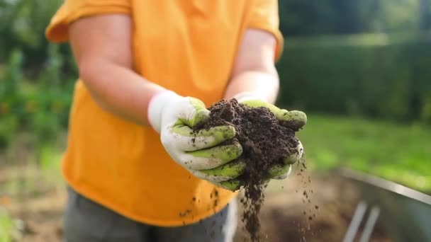 lähikuva käsi henkilö tilalla runsaasti maaperää nuori kasvi. Viljelijän käsi, joka tarkastaa maaperän terveyden ennen istutusta luonnonmukaisella tilalla. Vihreän maailman päivä. Laadukas kuva - Materiaali, video