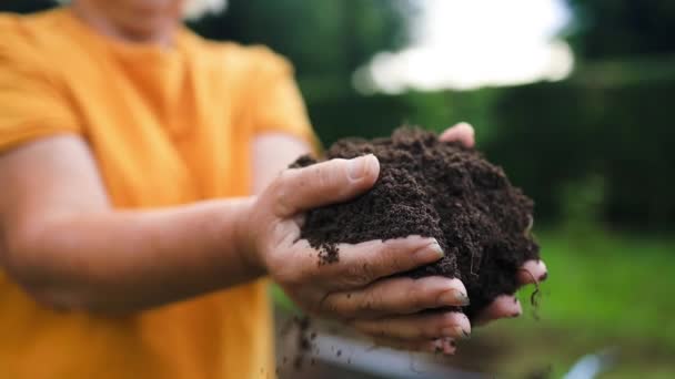 Naisen kädet koskettavat maaperää kentällä. Asiantuntija käsi viljelijä tarkistaa maaperän terveyttä ennen kasvua siemeniä vihannesten tai kasvien taimi. Liiketoiminnan tai ekologian käsite. Laadukas kuva - Materiaali, video
