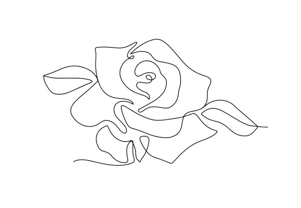 Brote de rosa dibujado en línea. Día Mundial de la Rosa. Dibujo de una línea para diferentes usos. Ilustración vectorial. - Vector, Imagen