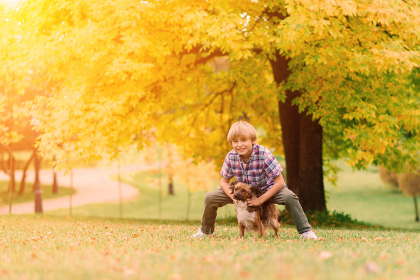Милый мальчик играет и гуляет со своей собакой на лугу. - Фото, изображение