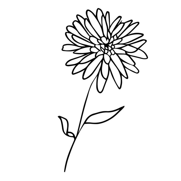 línea flor naturaleza planta con hoja vector ilustración - Vector, imagen
