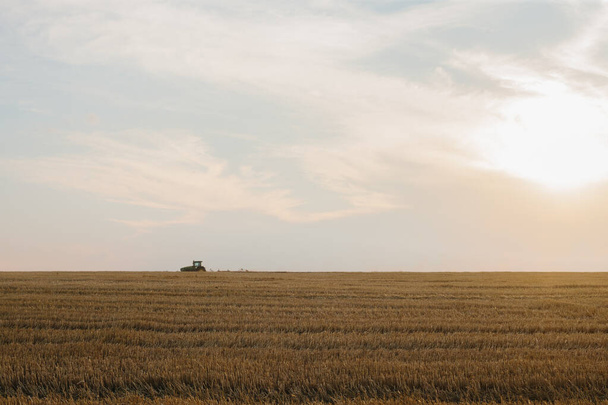 重いトレイルディスクのハローが付いている現代トラクターは日没で小麦畑を耕します. - 写真・画像