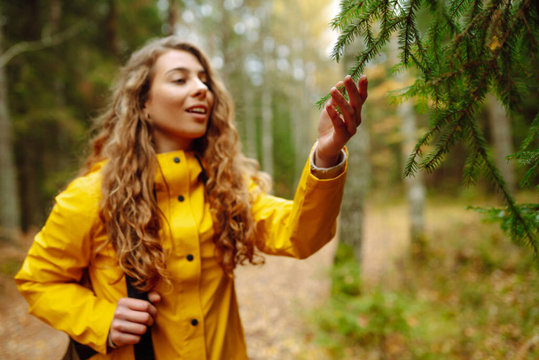 Female tourist in a yellow coat with a backpack traveling along a wooden path in the forest. Trekking trail. Concept of travel, nature, vacation. - Foto, immagini