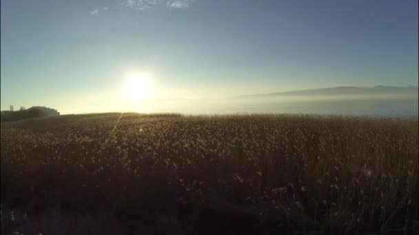 Coucher de soleil au lac - Séquence, vidéo