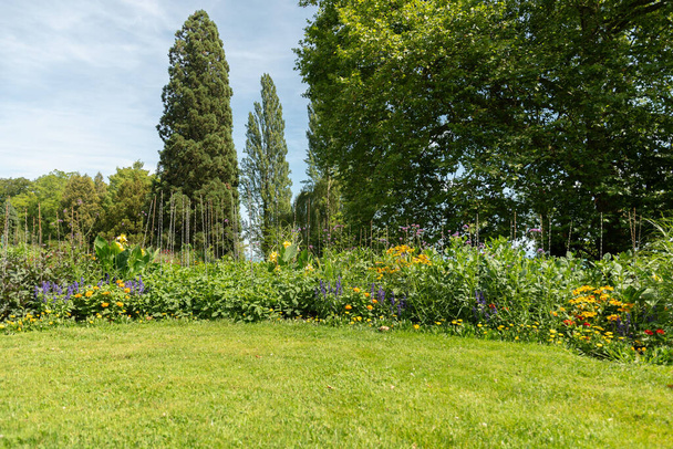 Майнау, Німеччина, 20 липня 2023 Захоплюючі квіти і різні плантації в прекрасному парку - Фото, зображення