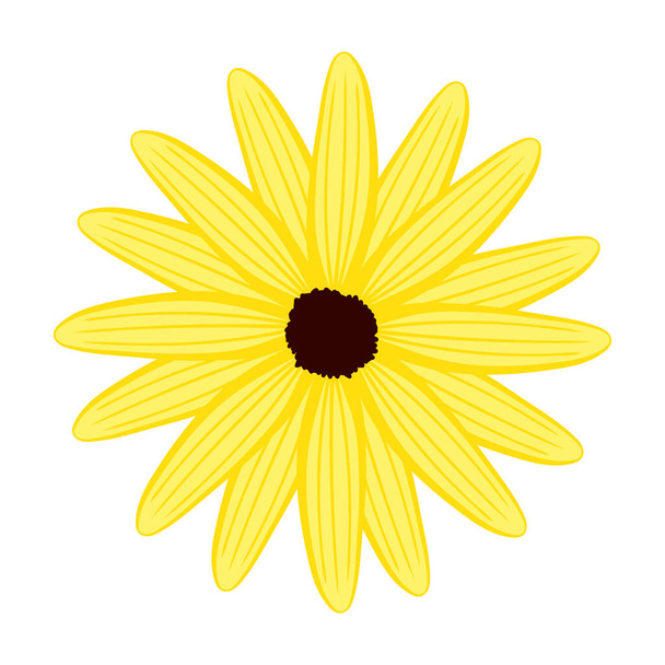 marguerite fleur nature icône isolé - Vecteur, image