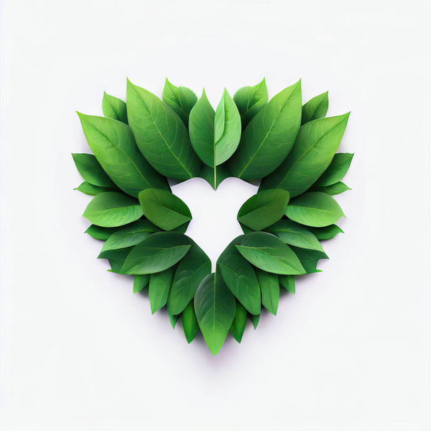 zöld levelek szív alakja fehér háttér. - Fotó, kép
