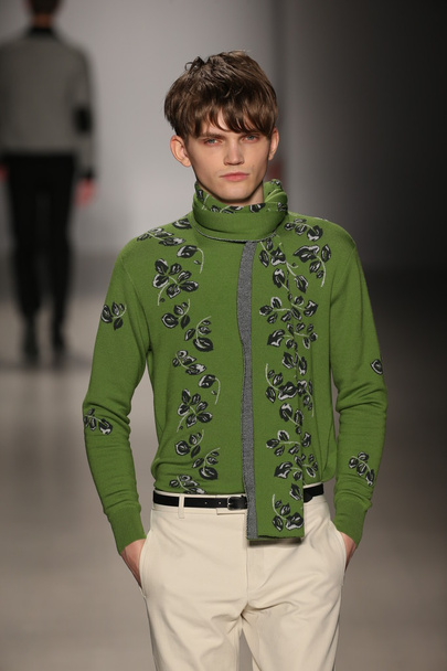 Orley fashion show during MBFW Fall 2015 - Foto, Imagem