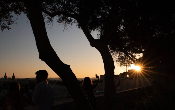 Los turistas usan sus teléfonos celulares para tomar fotos de la puesta de sol detrás del telón de fondo de La Valeta. Se pueden ver bajo altos pinos que se elevan sobre el casco antiguo de Malta. Los rayos del sol forman una estrella. - Foto, Imagen
