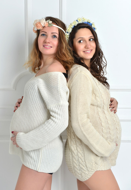 Two happy beautiful pregnant women friends standing and smiling  - Fotografie, Obrázek