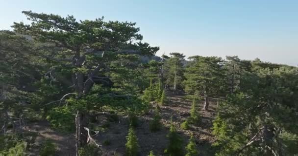 Чудеса с воздуха: Кипр и гора Олимп, где древние мифы встречаются с величественными пейзажами. Высококачественные 4k кадры - Кадры, видео