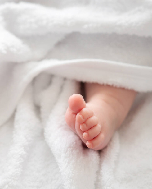 Ένα κοντινό πλάνο ενός νεογέννητου μωρού ευαίσθητο πόδι, που αναδύεται απαλά κάτω από μια παρθένα λευκή πετσέτα. - Φωτογραφία, εικόνα