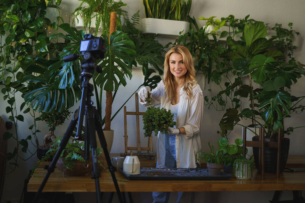 Elegante florista y blogger capturando su rutina de cuidado de plantas en la habitación con una vibrante vegetación - Foto, imagen